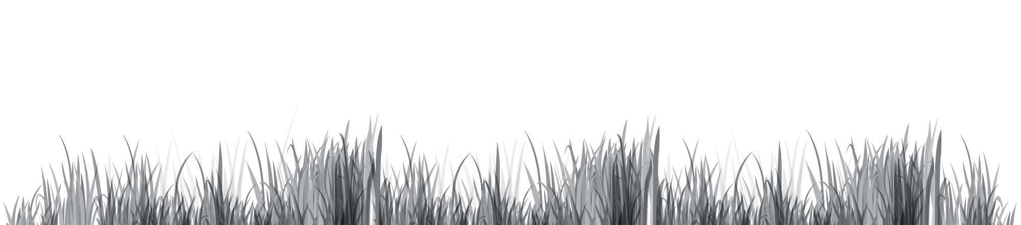 grass background layer